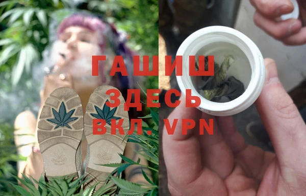 PSILOCYBIN Беломорск